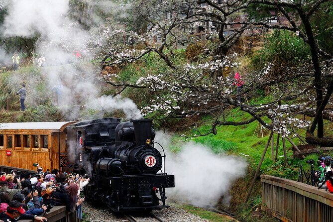 Alishan Taiwan 2 Day Private Tour from Taipei - Private transportation and guides: where the money actually goes
