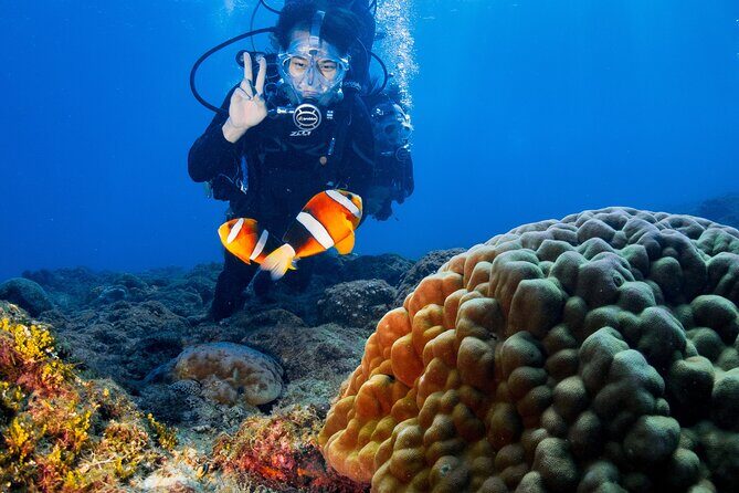 Discover Scuba Diving With Sea Turtles – Xiaoliuqiu, Taiwan - Xiaoliuqiu’s sea turtles: why this scuba session is worth the trip
