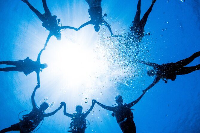 Discover Scuba Diving With Sea Turtles – Xiaoliuqiu, Taiwan - The underwater lineup: turtles plus reef life you can actually spot