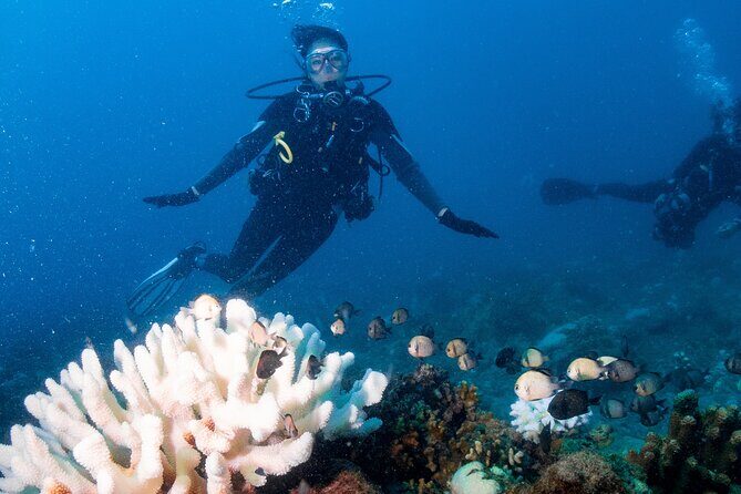 Discover Scuba Diving With Sea Turtles – Xiaoliuqiu, Taiwan - Meeting point in Liuqiu and how to plan your timing