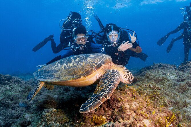 Discover Scuba Diving With Sea Turtles – Xiaoliuqiu, Taiwan - Price and value: is $83 a fair deal?