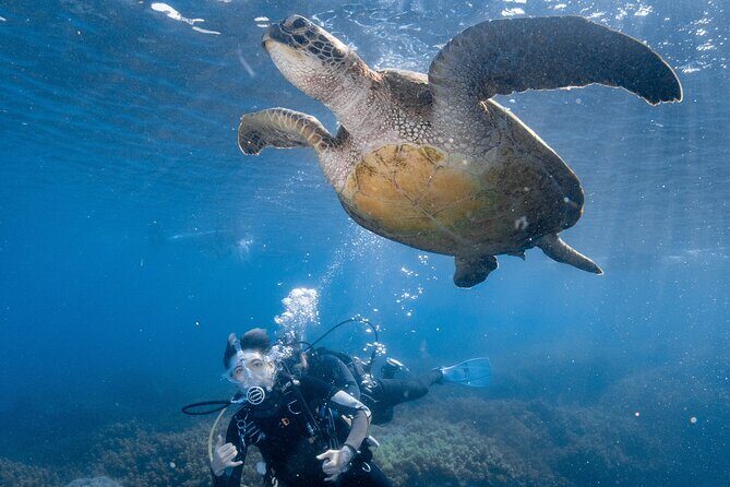 Discover Scuba Diving With Sea Turtles – Xiaoliuqiu, Taiwan - What your first 2 hours look like (and why it feels manageable)