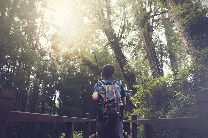 Exclusive 3-Day Sun Moon Lake & Alishan Private Tour - Getting out of Taipei: private pickup and the 2.5–3 hour drive
