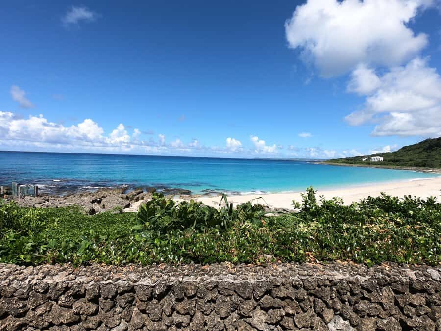 From Kaohsiung: Kenting & Ocean Coast Private Day Tour - National Museum of Marine Biology: indoor first, then your choice
