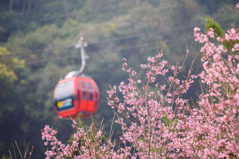 From Taipei: 1 Day Sun Moon Lake Private Tour - What to bring (and what to skip) for a smooth lake day