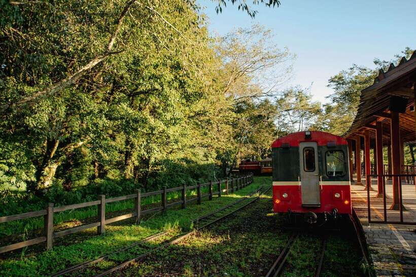 From Taipei City: 3-Day Sun Moon Lake & Alishan Private Tour - Price and value: why $1,130 can feel fair