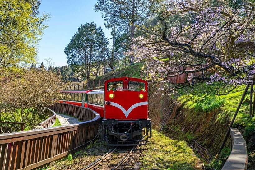 From Taipei City: 3-Day Sun Moon Lake & Alishan Private Tour - Alishan on foot: what you get from National Scenic Area time