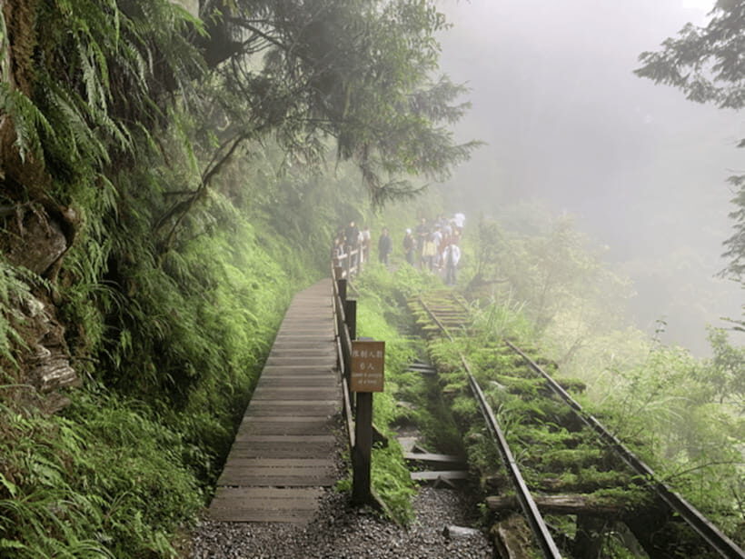 From Taipei: Taipingshan National Forest Private Day Tour - Jianqing Huaigu Trail: mossy steps and quiet green