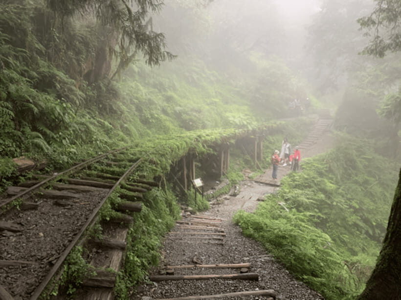 From Taipei: Taipingshan National Forest Private Day Tour - How the private car day works (and why 10 hours matters)