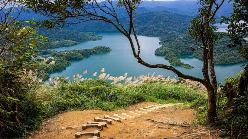 From Taipei: Thousand-Island Lake & Tea Museum Private Tour - Bagua Tea Plantation: what you’re really there to notice