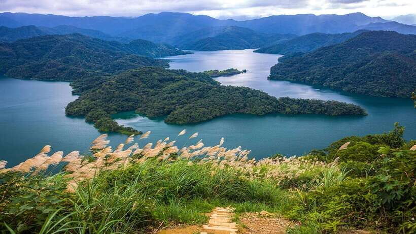 From Taipei: Thousand-Island Lake & Tea Museum Private Tour - The private car experience: comfort, timing, and curvy roads