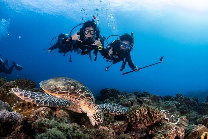 Kenting, Taiwan|PADI Basic Diving License Course|Taiwan Diving Open Water Course - Day 2 (Sea Sessions): Marine Practice and Skills Discussion