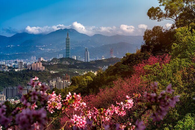 Private Tour: Taipei Timeless Treasures Tour (The Best of Taipei) - Key points you’ll care about