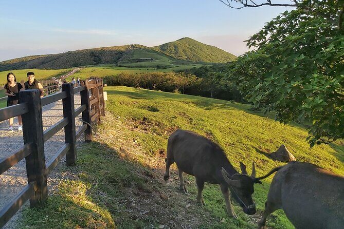Private Yangmingshan National Park Hiking Day Tour from Taipei - Food, Water, and Weather: The Simple Stuff You Must Get Right