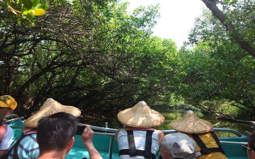 Tainan: Sicao Green Tunnel Scenic Boat Ride - Getting There: Dazhong Temple meeting point and QR ticket exchange