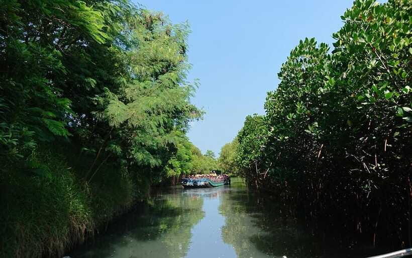 Tainan: Sicao Green Tunnel Scenic Boat Ride - Finding your timing: weekday departures vs national holiday rush