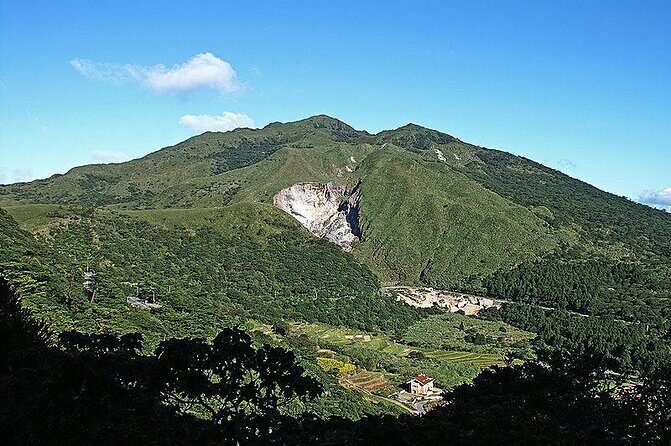 Taipei Cherry Blossom Day Tour to Yangmingshan and Tamsui - Key Highlights You’ll Actually Care About