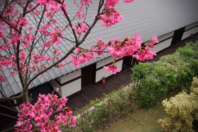 Taipei Day Tour including Taipei 101, Din Tai Fung and Hot Spring Experience - The guide factor: more than directions, more context