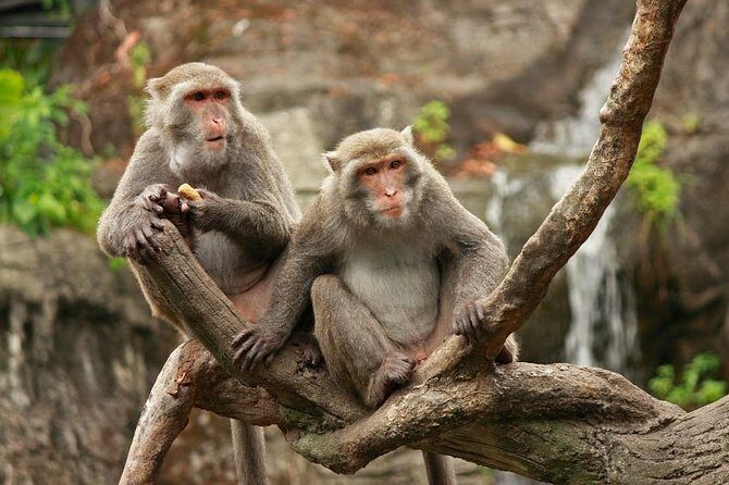 Taipei Private Car Charter Tour - Key Points Before You Go