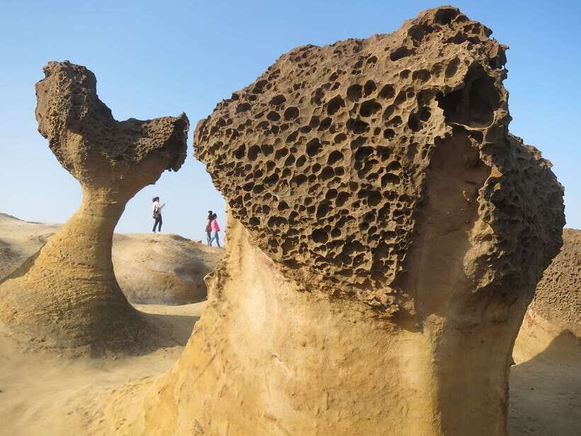 Taipei: Private City Sightseeing Tour with Driver - Key moments that make this tour worth your time