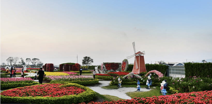 Taipei-Taichung-Taipei Private day trip - Zhong She Flower Garden: A One-Hour Reset from City Speed