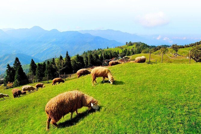 Taiwan Multi-Day Classic Tour - Price and value: what $2,600 per group really buys