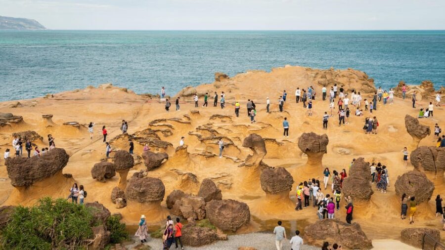 Taiwan Taipei: Customized Private Tour - Accessibility and Mobility-Friendly Touring in Practice