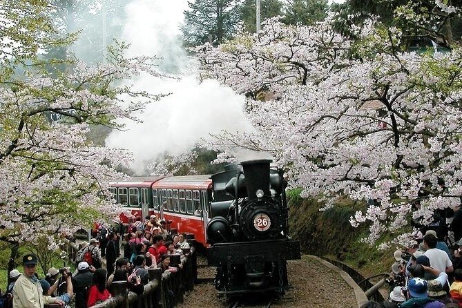 Two-day Sun Moon Lake & Alishan Forest Park Tour Package - Where you’ll lose (or save) money on Day 1: the hotel decision